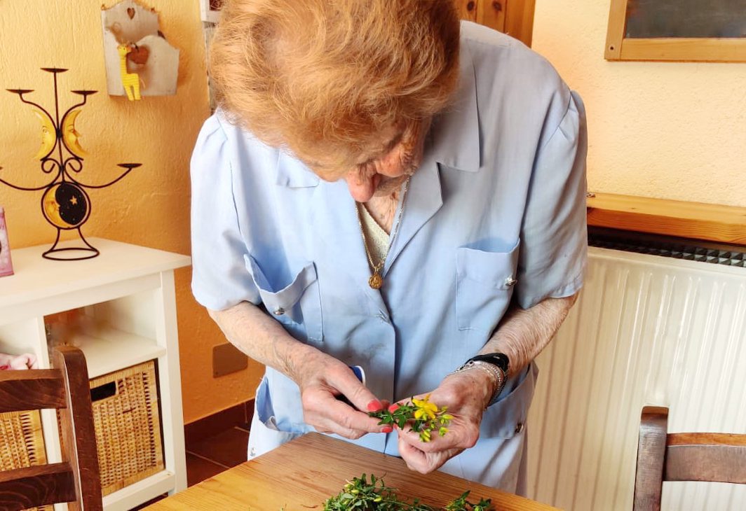 Mia nonna mentre prepara l'oleolito di iperico appena raccolto in montagna